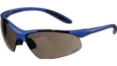 Schutzbrille Grau DAYLIGHT